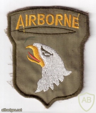 101st Airborne patch img47691