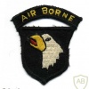 101st Airborne patch img47688