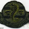 388th Security Police Squadron Patch