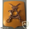 Belgium Army ISTAR Battalion img47842