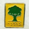 1st Golani Brigade