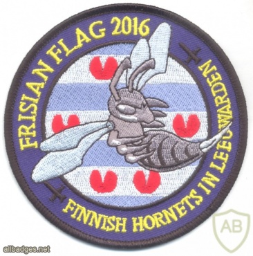 FINLAND Finnish Air Force - Fighter Squadron 31 sleeve patch, Frisian Flag 2016 img47945