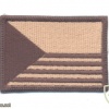 CZECH REPUBLIC Army National Flag shoulder patch, desert version img47941