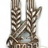 Two Pins – Palmach – War of Independence img47973