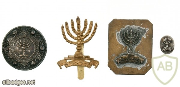 Pins, Cap Badge and a Plaque – "First Judeans" Jewish Battalion img47963