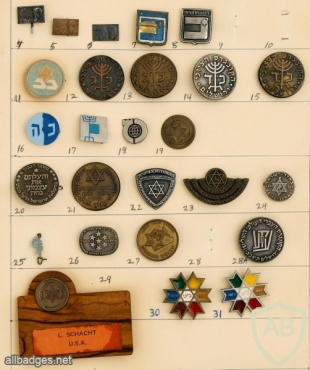 Collection of Pins – Zionist Congresses / Herzl img47961