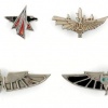Collection of Pins and Cloth Badges – Air Force img48004