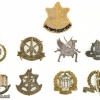 Collection of Pins and Badges – IDF