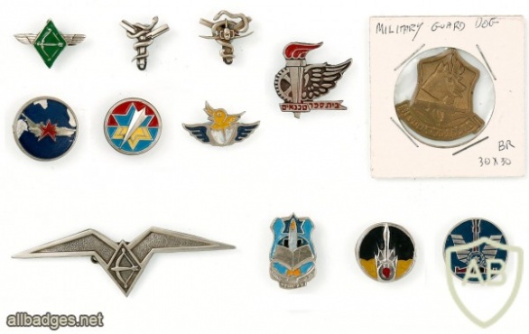 Collection of Pins and Cloth Badges – Air Force img48006