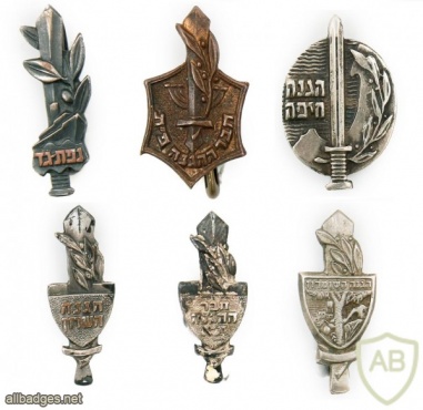 Six Pins – Haganah – Pins of "Alexandroni" Brigade and more Pins img47980