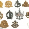Ten Cap Badges – IDF Units – III