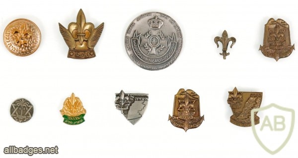 Collection of Pins and Cloth Badges – "HaZofim" Scouts Movement img48021