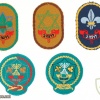 Collection of Pins and Cloth Badges – "HaZofim" Scouts Movement img48022