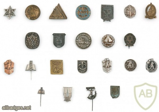 Large Collection of Pins – Youth Movements and Various Youth Organizations img48019