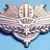 101st Shahar unit