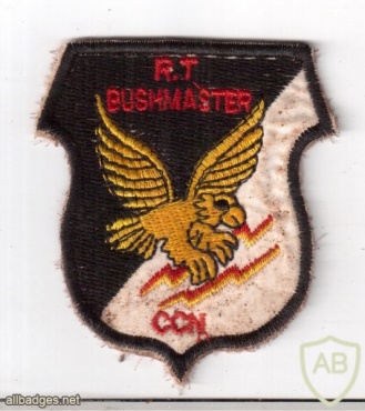 MACV-SOG Recon Team Bushmaster patch, type 2 img48153