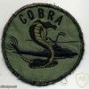 Cobra Gunship Qualification patch