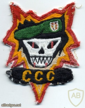 MACV-SOG Command and Control Central (CCC) Bomb Burst patch img48186