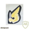 ARVN Jump Status woven badge img48274