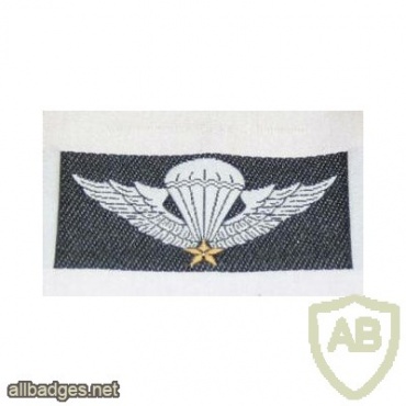 ARVN Jump Qualification woven img48272