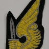 ARVN Jump Status woven badge img48273