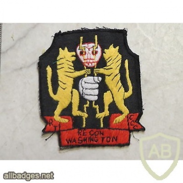Recon Team Washington patch img48298