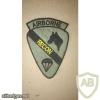 1st Air Cavalry Division AIRBORNE RECON patch img48284