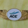 ACE Air Cargo Europe pilot wings img48307