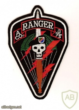 75th Ranger Regiment 3rd Battalion A Company patch img48416