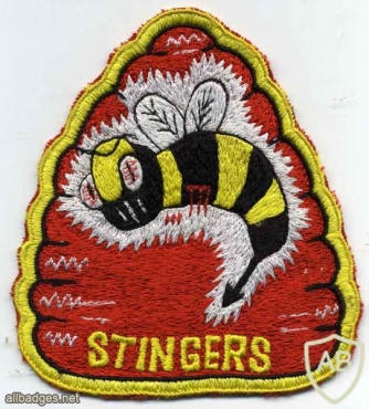 USAF 113th Fighter Squadron patch img48413