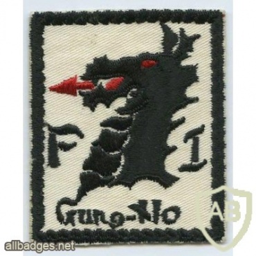 US AIR FORCE FI GUNG HO Task Force Squadron patch img48454