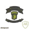 75th Ranger Regiment L Co Long Range Patrol patch img48431
