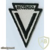  MACV Recondo School Qualification Badges img48452