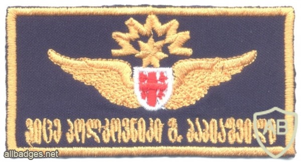REPUBLIC OF GEORGIA Air Force Pilot wings, I Class img48495