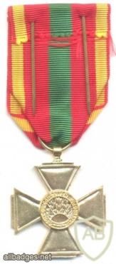 FRANCE Volunteer Combatant's Cross medal, gold img48506