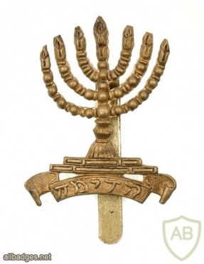 First Judeans Cap Badge img48520