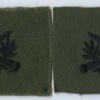 ARVN - Ranger Qualification Badge img48602