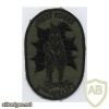 195th Assault Helicopter Company 2nd Flight Platoon "Ghost Riders" patch