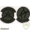 7th Squadron, 17th Cavalry Regiment Ruthless Riders Vietnam War patch, subdued img48572