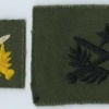 ARVN - Ranger Qualification Badge img48601