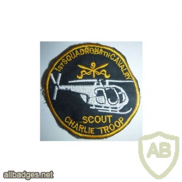 1st Squadron, 9th Cavalry Regiment SCOUT patch img48557