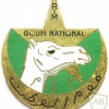 MAURITANIA (Islamic Republic of) Rural Police pocket badge img48642
