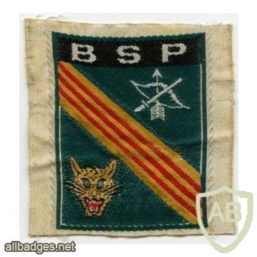 ARVN Buon Sar Pa Mobile Guerrilla Force patch img48655