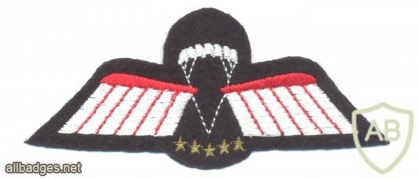 NETHERLANDS Army DT 2000 Parachutist Brevet D HAHO/HALO Oxygen wings, full color img48665
