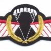 NETHERLANDS Army DT 2000 Operational free fall wings, full color img48664