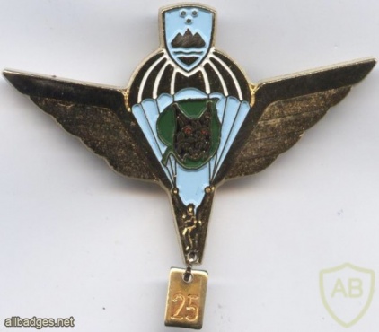 SLOVENIA 1st Special Brigade MORiS parachute wings, Gold, 25 jumps img48714