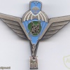 SLOVENIA 1st Special Brigade MORiS parachute wings, Silver, 10 jumps img48712