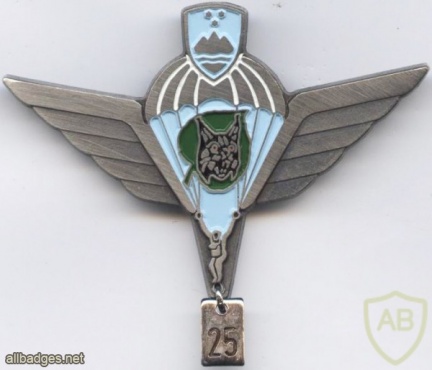 SLOVENIA 1st Special Brigade MORiS parachute wings, Silver, 25 jumps img48713