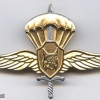 SLOVENIA 1st Special Brigade MORiS parachute wings img48720