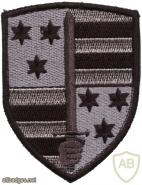 Slovenia Army 20. motorized battalion patch, subdued img48745